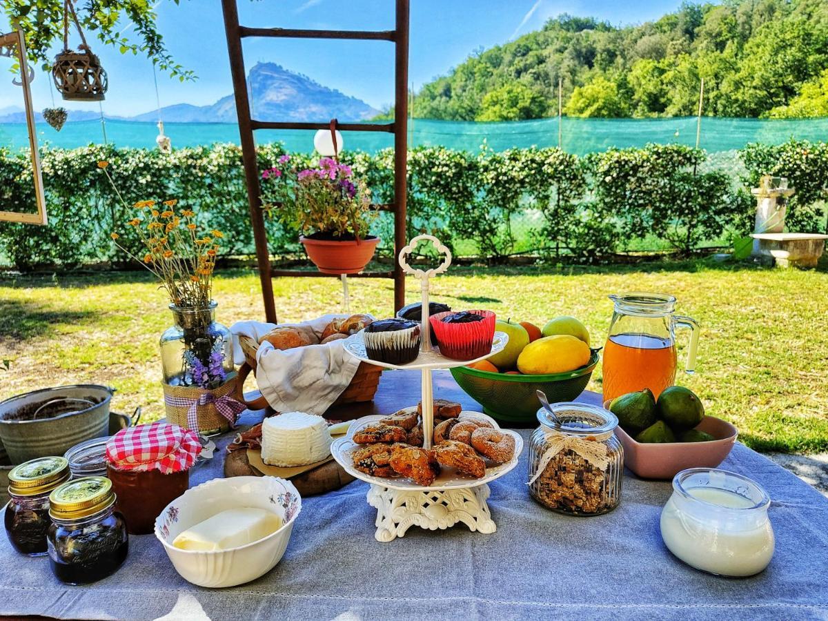 Arce Casale Dei Ricordi B&B 외부 사진