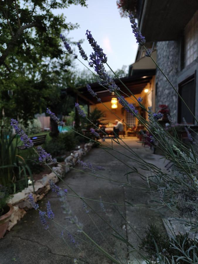 Arce Casale Dei Ricordi B&B 외부 사진