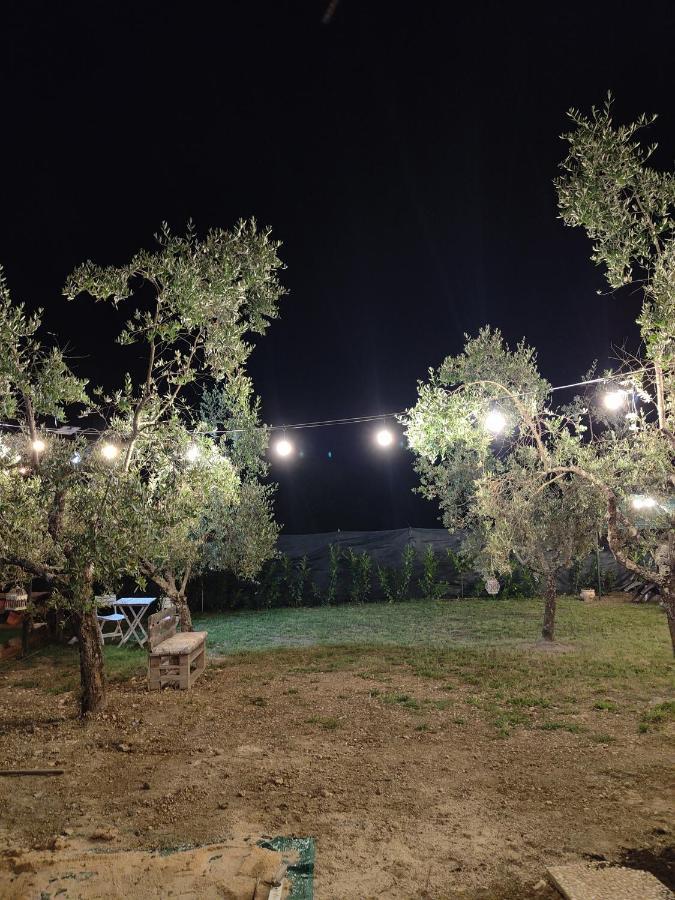 Arce Casale Dei Ricordi B&B 외부 사진