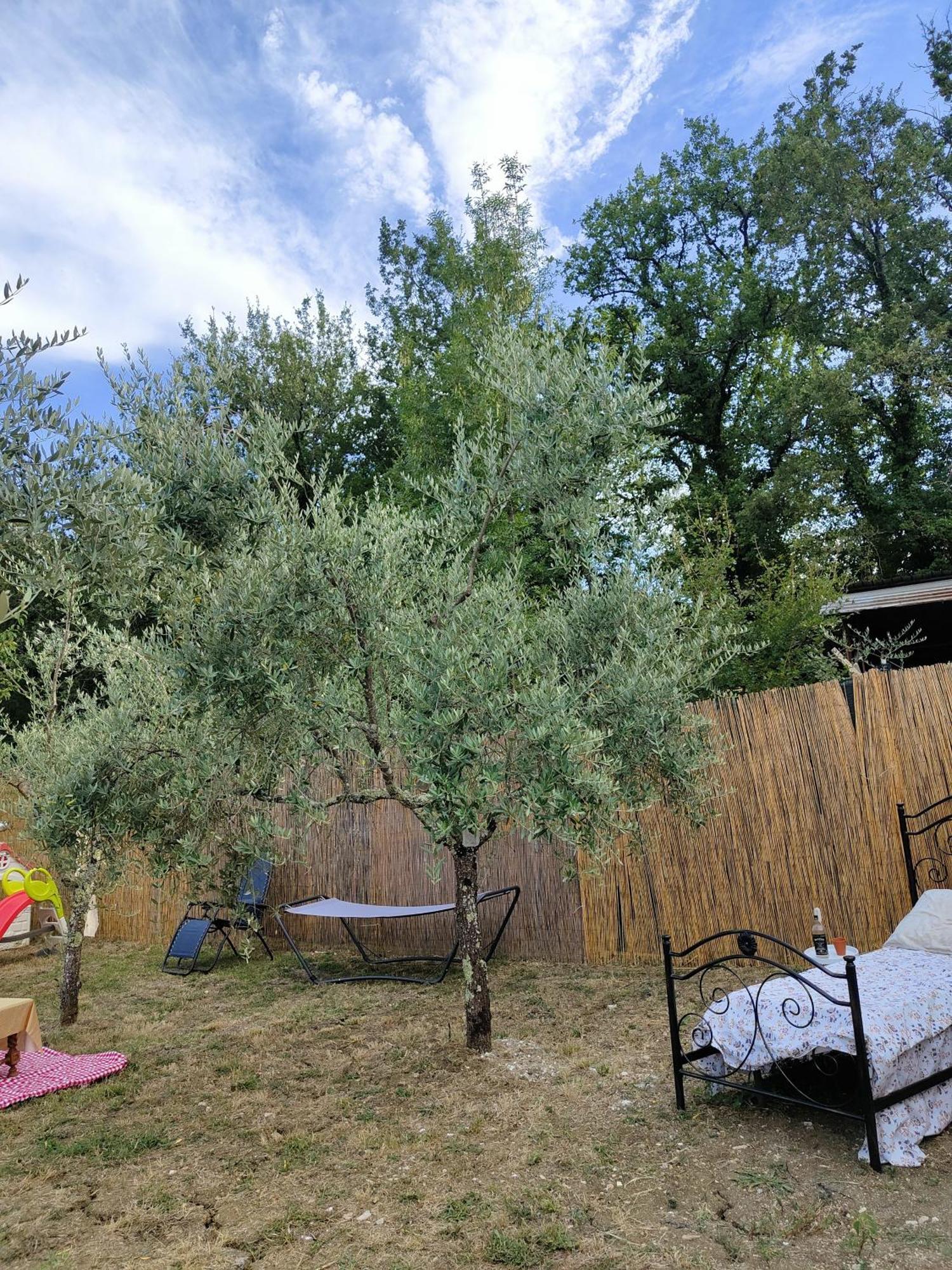 Arce Casale Dei Ricordi B&B 외부 사진