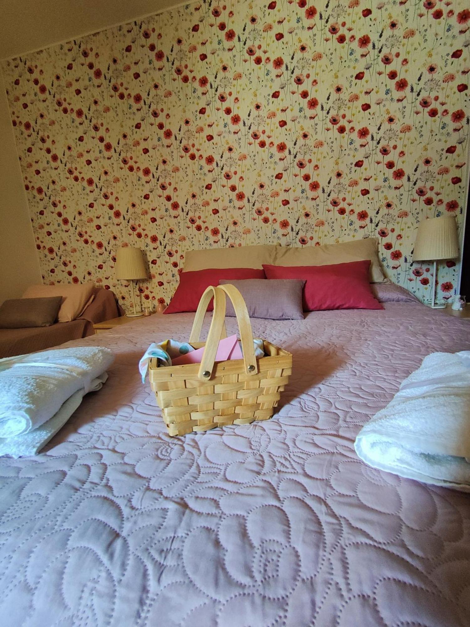 Arce Casale Dei Ricordi B&B 외부 사진