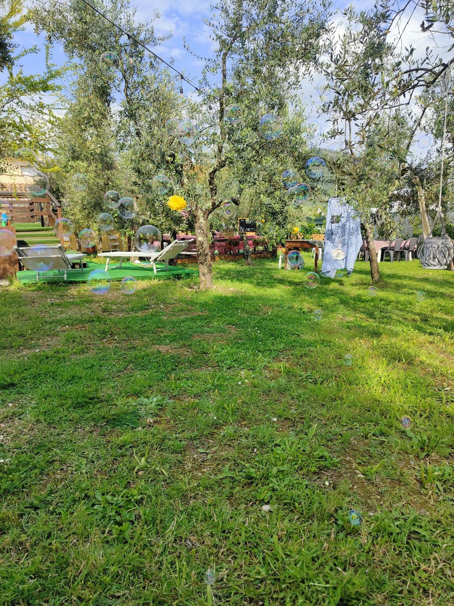 Arce Casale Dei Ricordi B&B 외부 사진